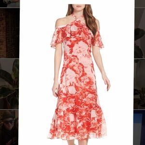 Chelse28 (Nordstrom) Dress